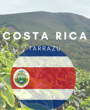 Costa Rica Tarrazu