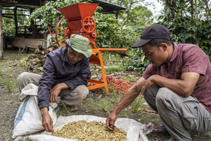 Sumatra Mandheling